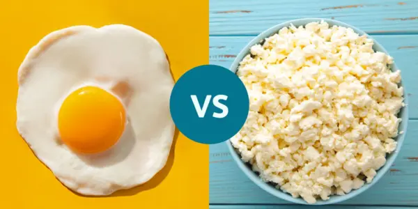Protein Power – For weight loss, which has more effective protein: eggs or cottage cheese?